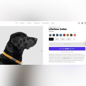 Atlas Pet Company Lifetime Collar Honey 16"